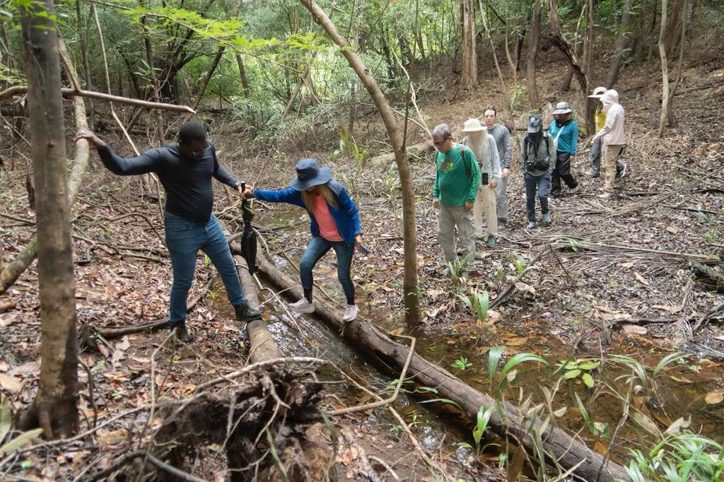 Trilha guiada no interior da floresta